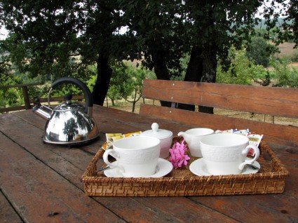 tea in the countryside of Tuscany